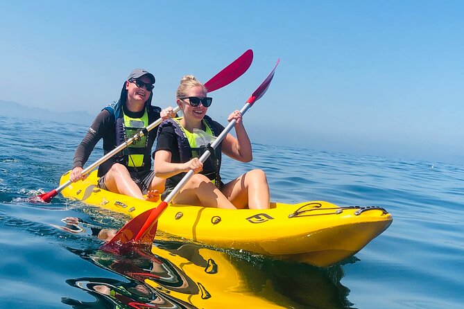 Paddle with the Penguins - Starting at Seaforth Beach in Simon’s Town
