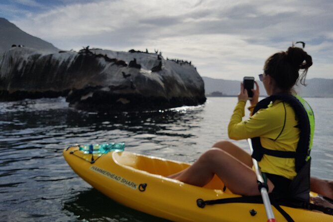 Paddle with the Penguins - A guide who adds more than directions
