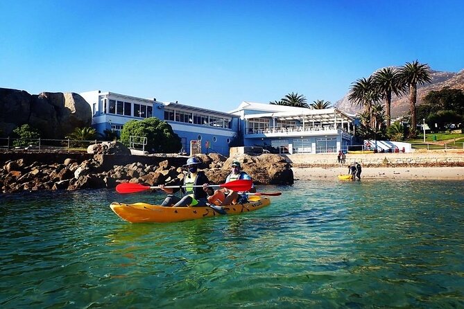 Paddle with the Penguins - What the weather policy means for your plans