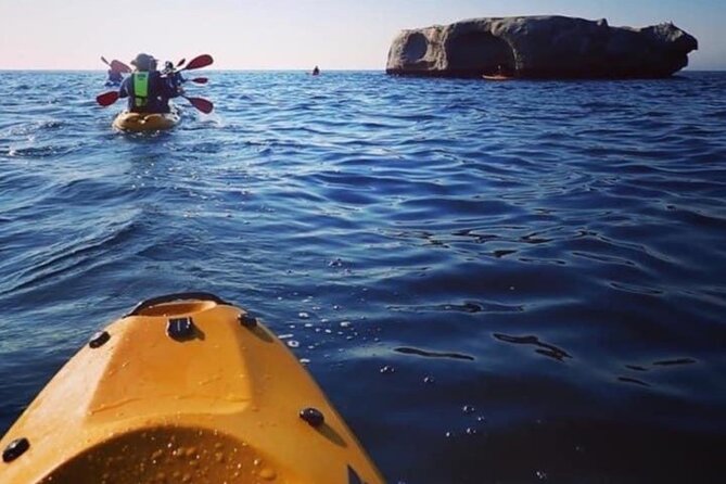 Paddle with the Penguins - Who will enjoy this paddle most
