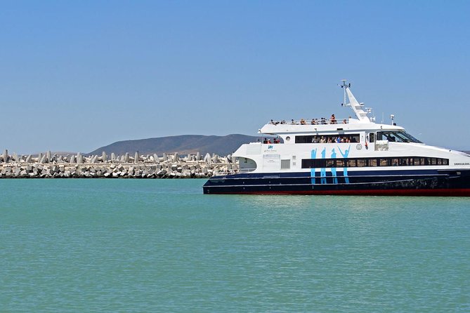 Path to Freedom: Apartheid & Township Tour with Private Transfers - An hour at the V&A Waterfront