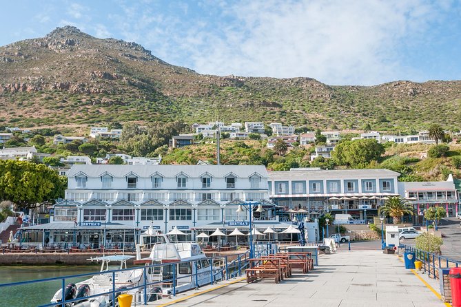 Penguin Encounter Boulders Beach Half Tour Day from Cape Town - Maiden’s Cove gives you an early view of Cape Town