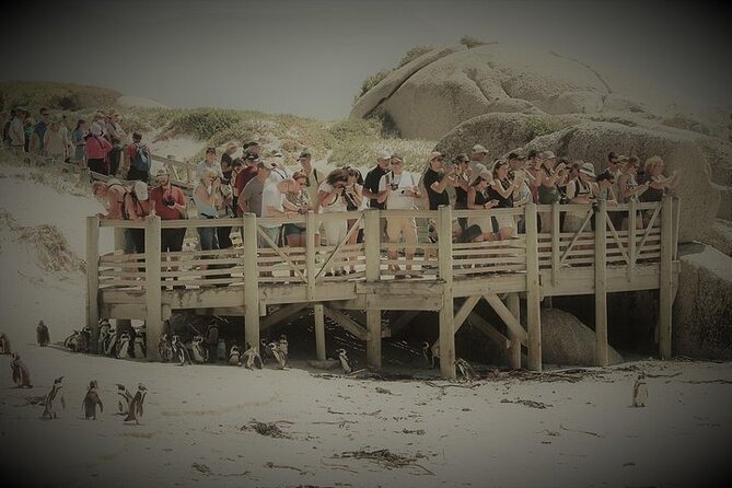 Penguin Encounter Boulders Beach Half Tour Day from Cape Town - Boyes Drive closes the loop with False Bay views