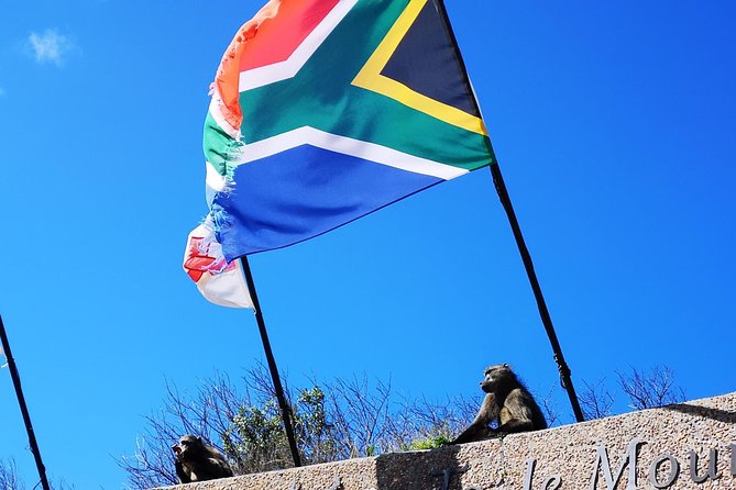 Penguin Time! Private Peninsula Experience. - Kirstenbosch as an optional fourth major stop