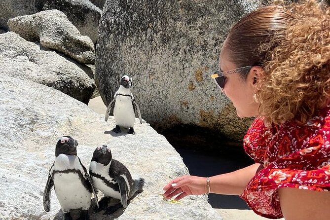 Penguin Watching & Beach Day at Boulder's Beach, Cape Town - Early views at Camps Bay and Maiden’s Cove