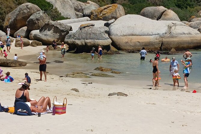 Penguin Watching & Beach Day at Boulder's Beach, Cape Town - Along the Atlantic coast to Chapman’s Peak