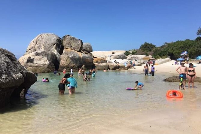 Penguin Watching & Beach Day at Boulder's Beach, Cape Town - Coffee and wide views at Noordhoek Farm Village
