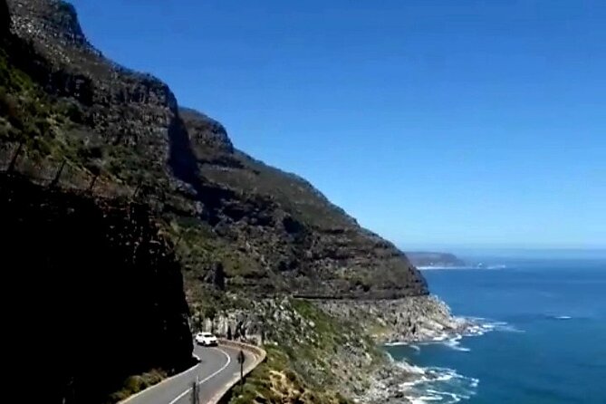 Penguins Cape of Good Hope, Cape Point Private Tour - Chapman’s Peak Drive and the Atlantic coast