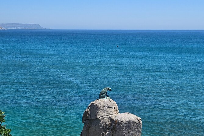 Peninsula Full Day Private Tour - Hout Bay adds a harbor break and lunch choice