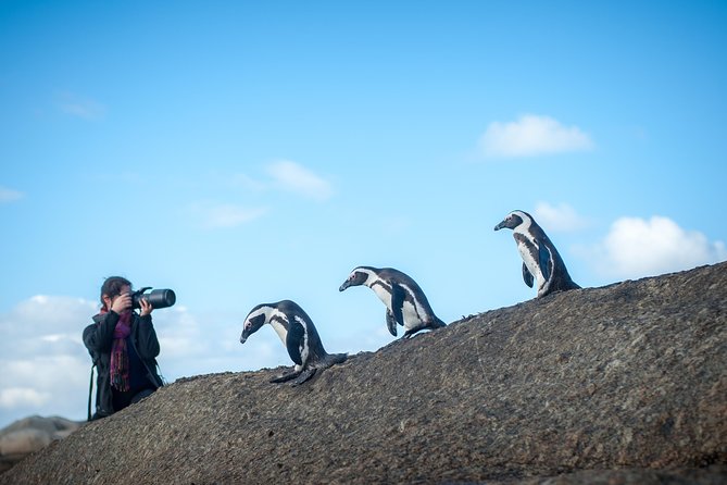 Peninsula Photography Tour - 6:00 am at Signal Hill