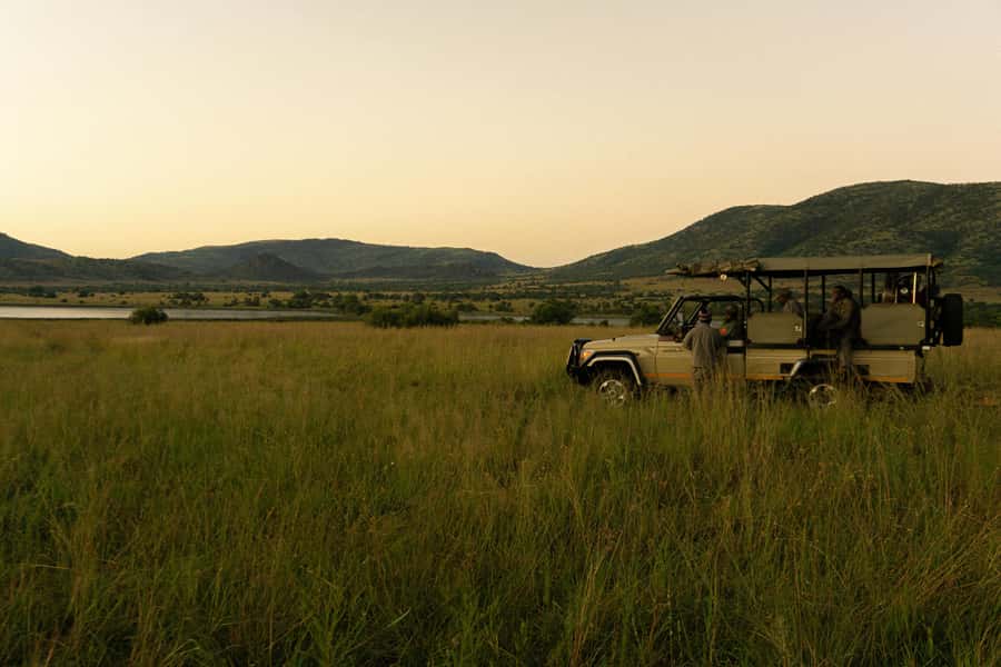 Pilanesberg: Full-Day Safari Adventure from Johannesburg - The morning game drive and the Big Five search
