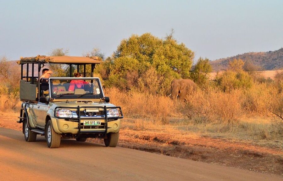 Pilanesberg Full-Day Shared Safari with Sun City Visit - Key points to know before booking