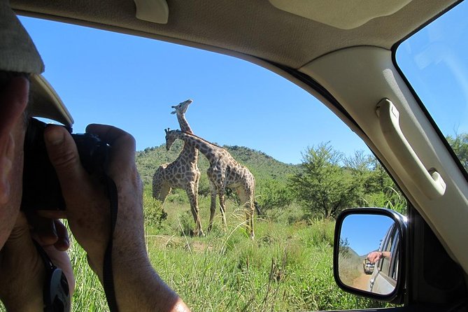 Pilanesberg Game Reserve 6 Hour Sunrise Safari from Johannesburg or Pretoria - Why Pilanesberg works so well from Johannesburg