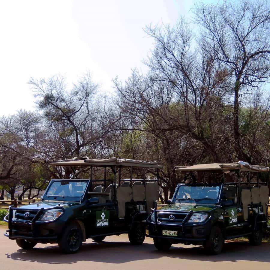Pilanesberg Morning or Afternoon 3 Hour Game Drive - Birdlife adds another layer