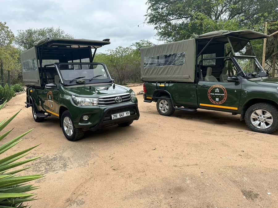 Pilanesberg Morning or Afternoon 3 Hour Game Drive - What the guide adds