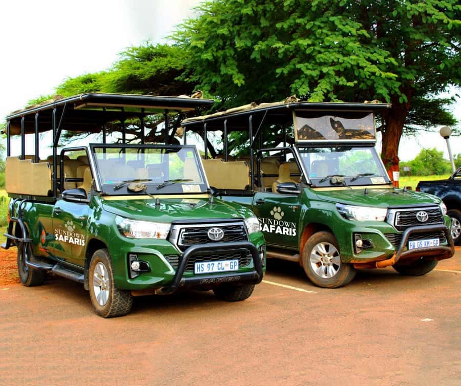 Pilanesberg Morning or Afternoon 3 Hour Game Drive - Who should book this drive?