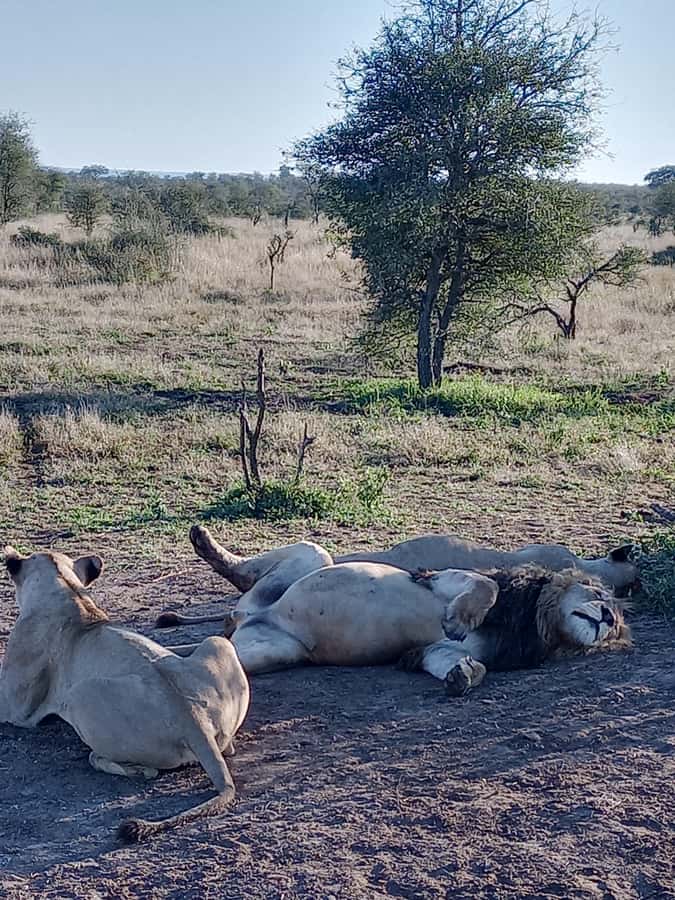 Pilanesberg National Park - Booking flexibility and practical details
