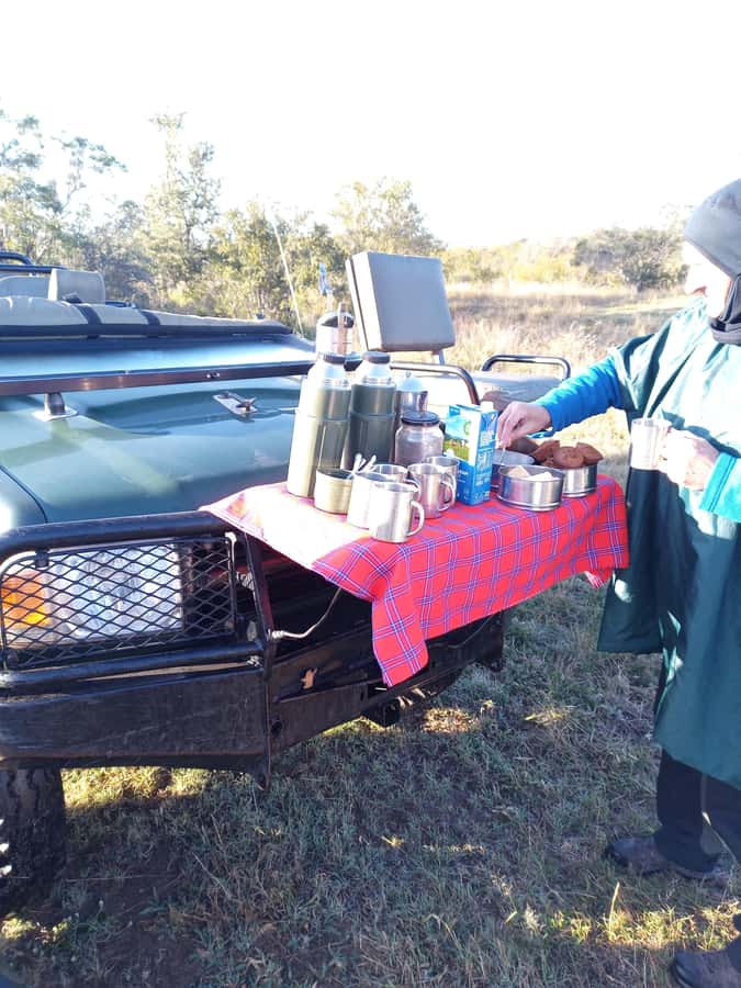 Pilanesberg National Park - Is $248 good value?