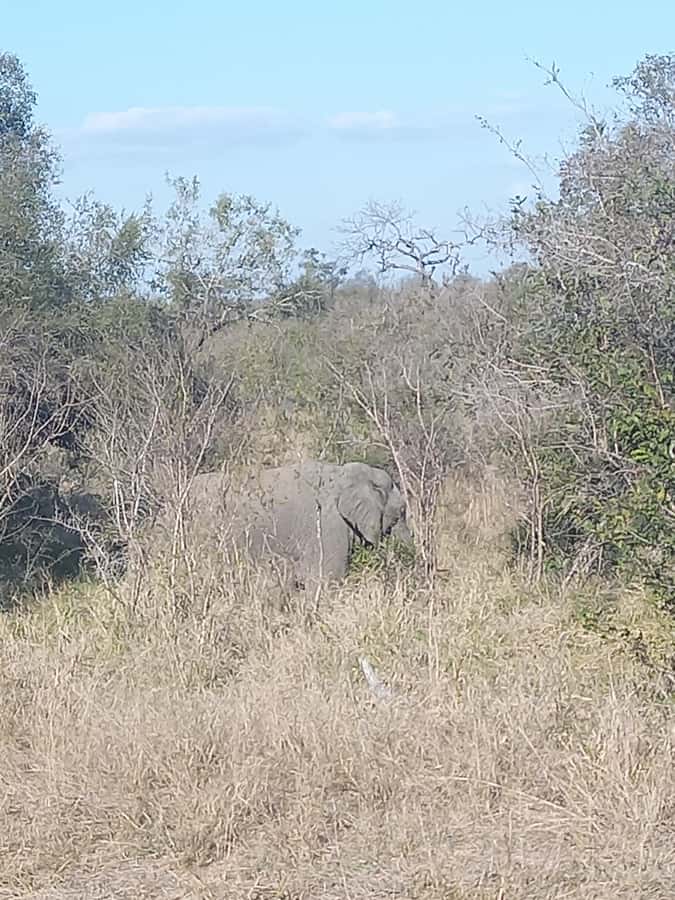 Pilanesberg National Park - Who should book this safari?