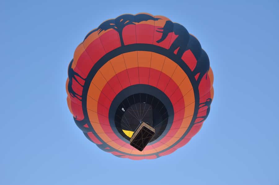 Pilanesberg National Park/Sun City Hot Air Balloon Safari - The early start and open-vehicle transfer
