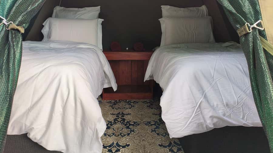 Pilanesberg: Two-Day Camping Adventure from Johannesburg - Key points to know before booking