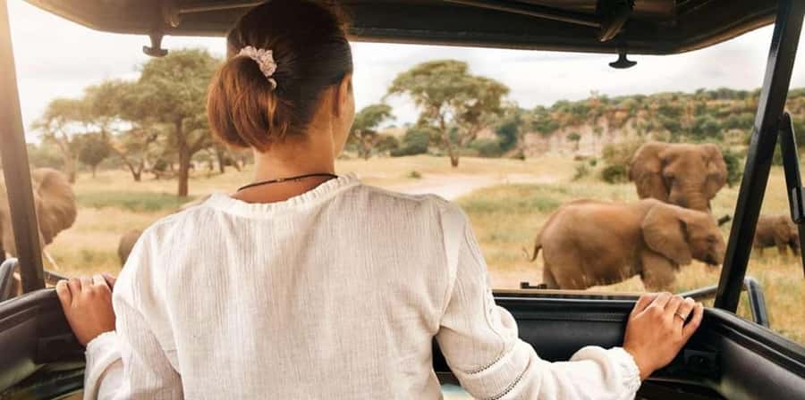 Pilanesberg: Two-Day Camping Adventure from Johannesburg - Three hours inside Pilanesberg on day one
