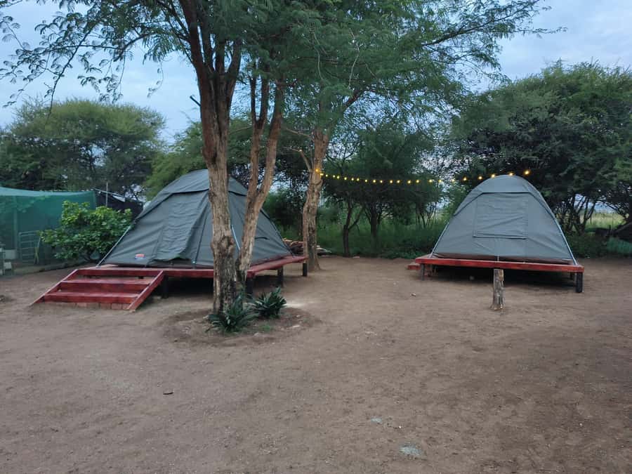 Pilanesberg: Two-Day Camping Adventure from Johannesburg - Lunch and a simple night at Tlou Tented Safari Camp