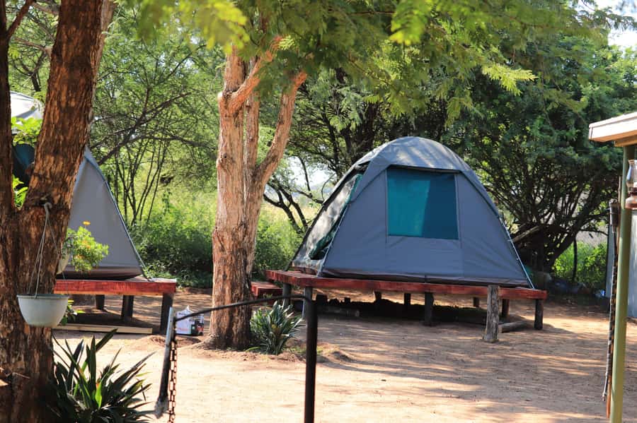 Pilanesberg: Two-Day Camping Adventure from Johannesburg - The 5:30 a.m. drive on day two