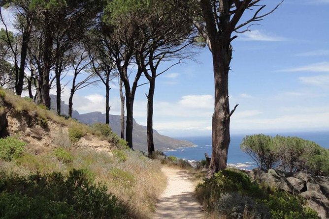 Pipetrack Hike for the whole family on Table Mountain - PRIVATE - Key points to know before you book