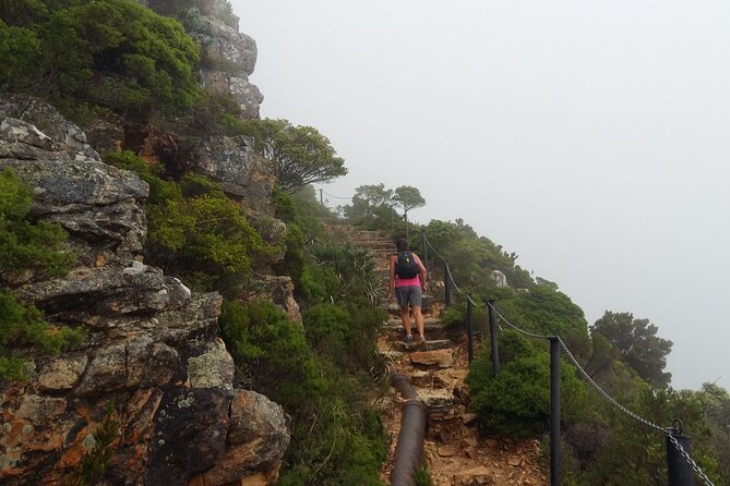 Pipetrack Hike for the whole family on Table Mountain - PRIVATE - Why the Pipe Track is a smart Table Mountain choice