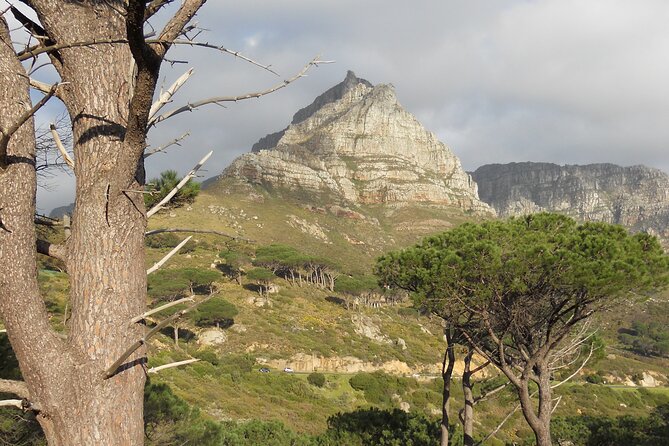 Pipetrack Hike for the whole family on Table Mountain - PRIVATE - Family suitability and fitness expectations