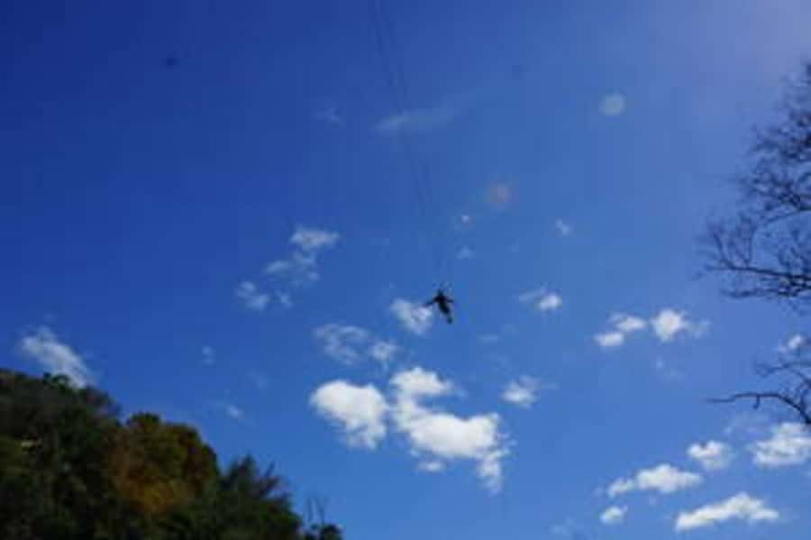 Plettenberg: 2-Hour Zipline Tour - Who will get the most from this activity?
