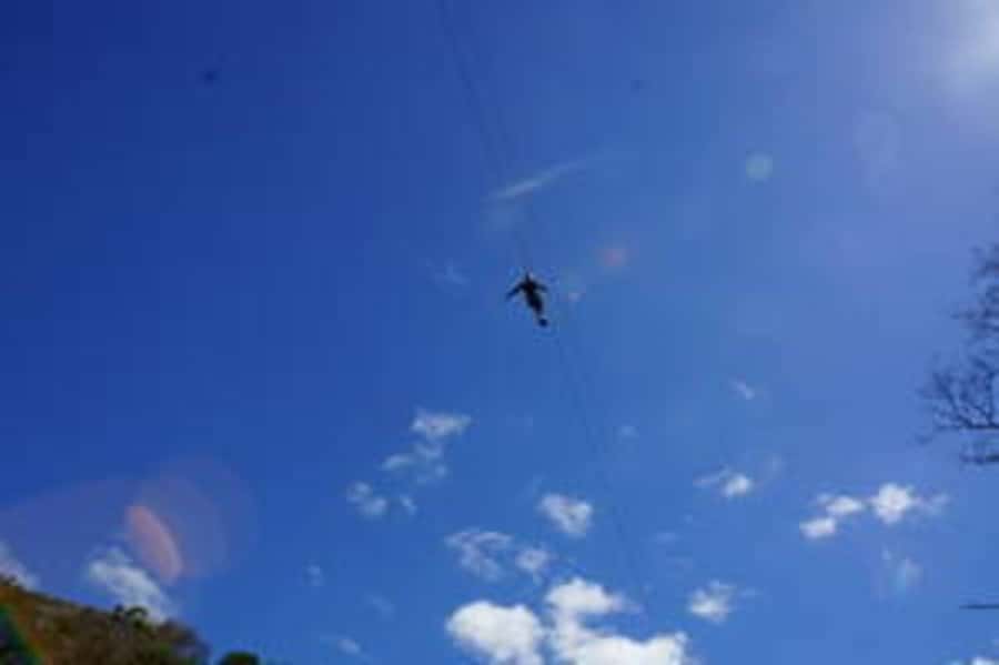 Plettenberg: 2-Hour Zipline Tour - Six rides through forest, cliffs, and open views