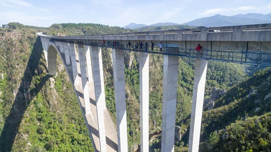 PLETTENBERG BAY: Bloukrans Bridge Skywalk Tour and HangOut - Key points to know before you go