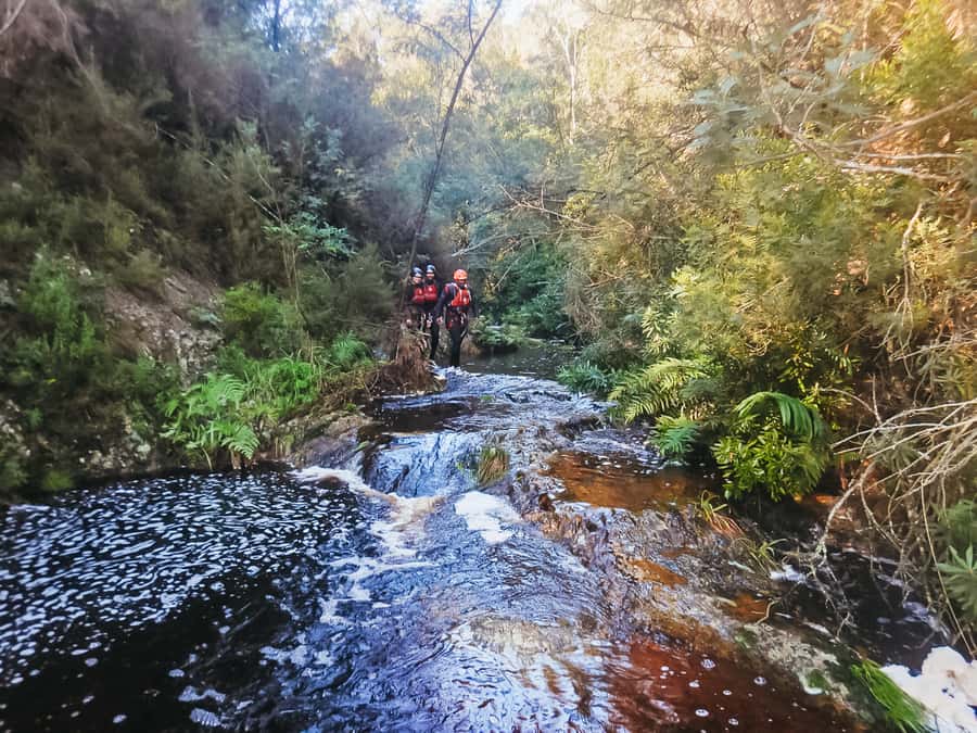 Plettenberg Bay: Canyoning Trip - The 25-meter abseil gets you moving