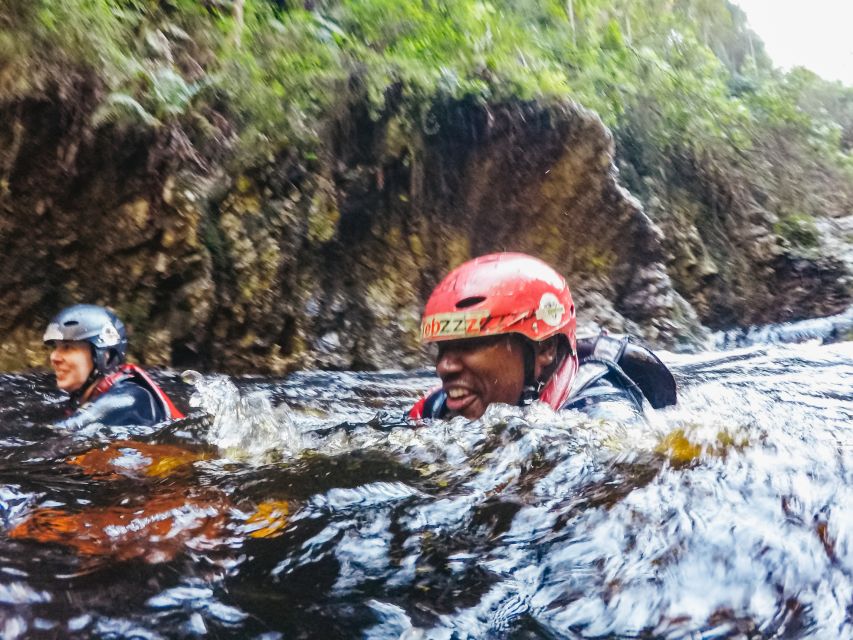 Plettenberg Bay: Canyoning Trip - The forest is more than scenery between stunts