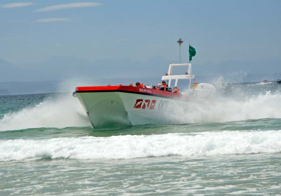 Plettenberg Bay: Dolphin and Marine Boat Tour - Keurbooms Beach and the first dolphin search