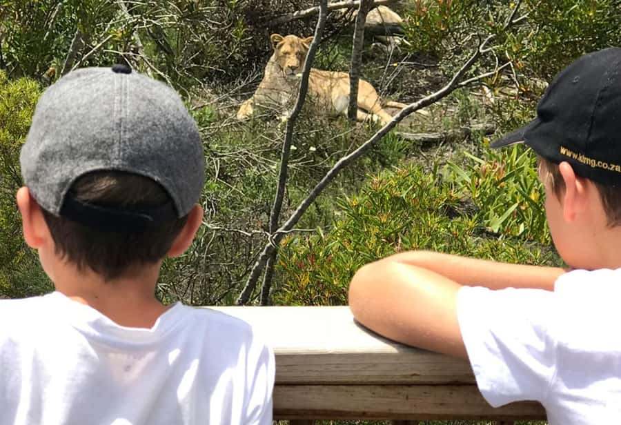 Plettenberg Bay: EcoKidz Family Wildlife Tour - Why this Tenikwa tour works for children