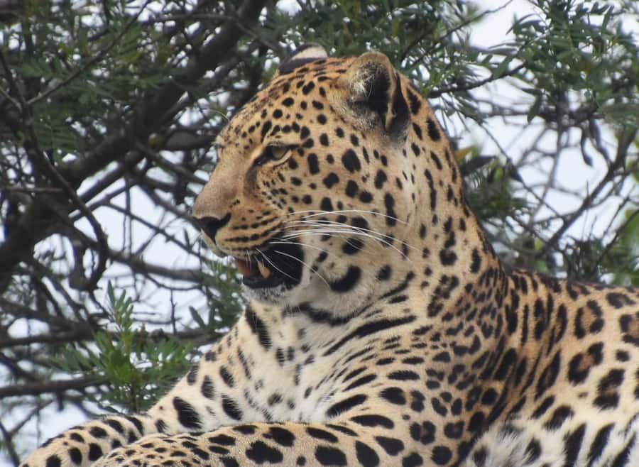 Plettenberg Bay: EcoKidz Family Wildlife Tour - What the $28 price gives you