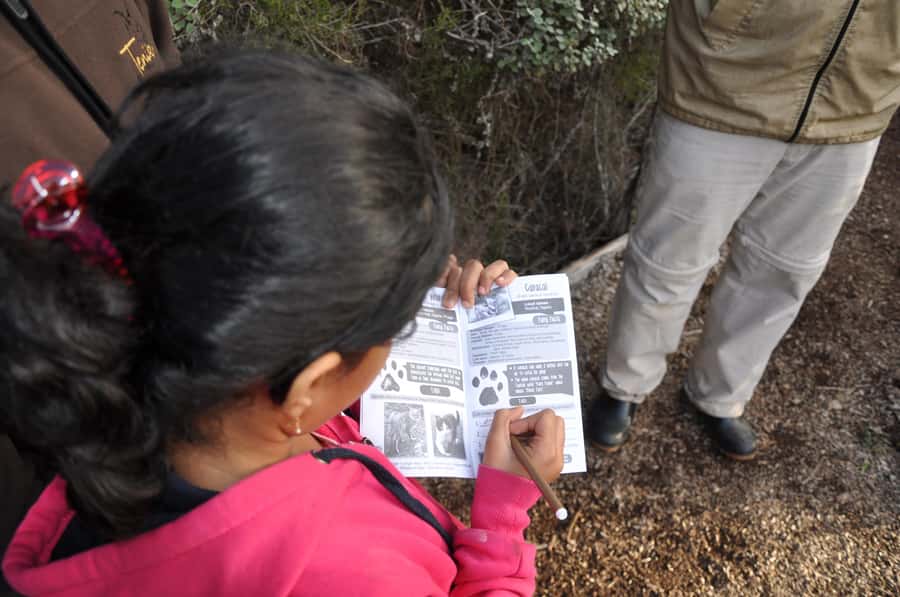 Plettenberg Bay: EcoKidz Family Wildlife Tour - Practical planning for weather, walking, and access
