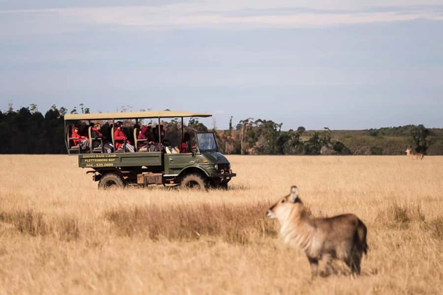 Plettenberg Bay Game Reserve: 2-Hour Game Drive - Key points before you book