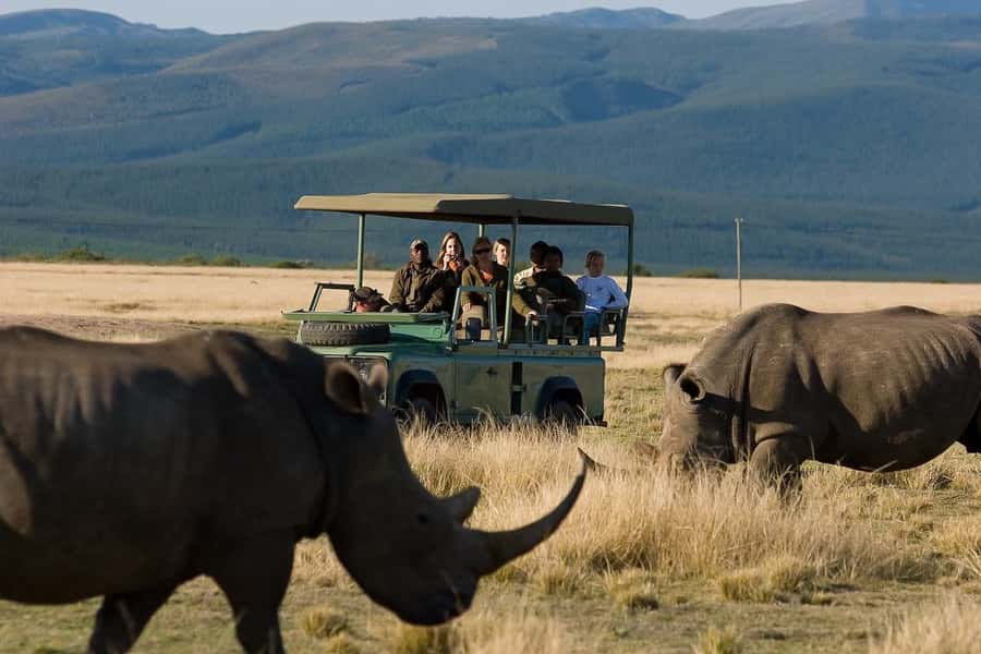 Plettenberg Bay Game Reserve: 2-Hour Game Drive - Why this short safari works near Plettenberg Bay