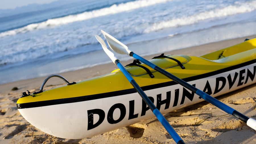 Plettenberg Bay: Guided Sea Kayak Tour - Key points before you paddle