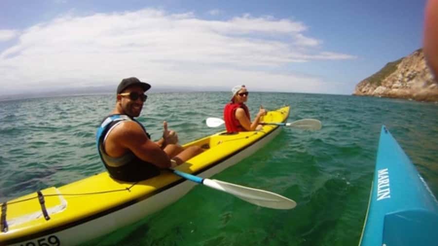 Plettenberg Bay: Guided Sea Kayak Tour - Why paddle Plettenberg Bay from Central Beach?