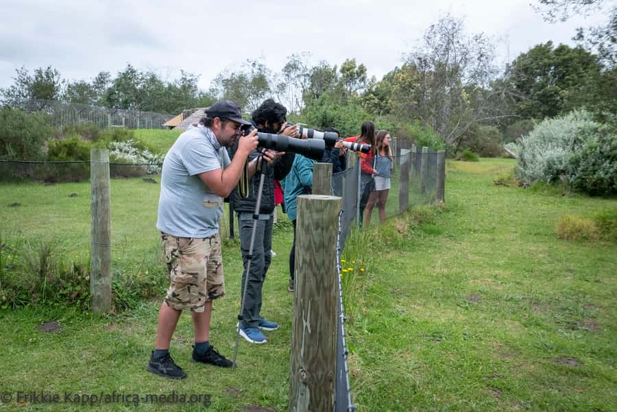 Plettenberg Bay: Private Guided Wildlife Photography Tour - Key points to know before you go