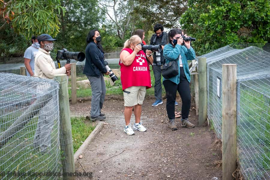 Plettenberg Bay: Private Guided Wildlife Photography Tour - Arriving at Tenikwa near Plettenberg Bay