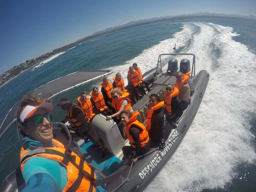 Plettenberg Bay: Seal Colony Viewing Excursion - Is $34 a fair price?