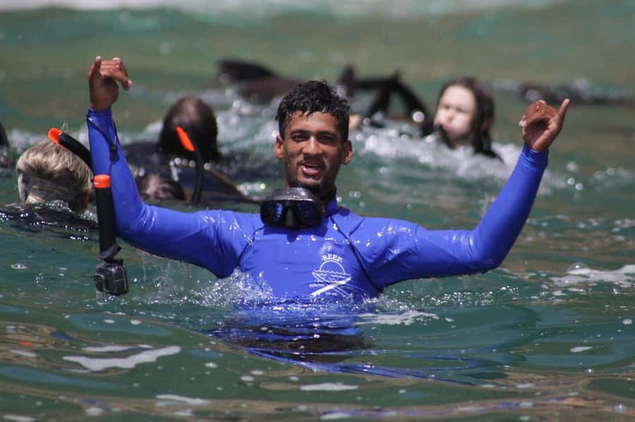 Plettenberg Bay: Seal Swimming Experience - Key points before you book