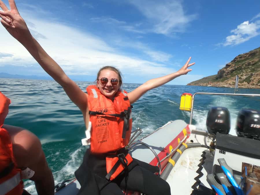 Plettenberg Bay: Seal Swimming Experience - Why the boat ride and colony location matter