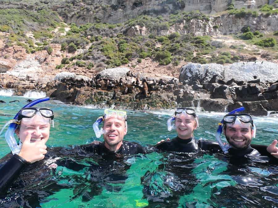 Plettenberg Bay: Seal Swimming Experience - Photos, comfort, and the practical extras